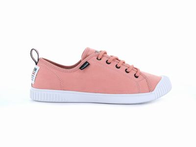 Zapatillas Palladium EASY LACE CANVAS Mujer Muted Clay | Ecuador-56439